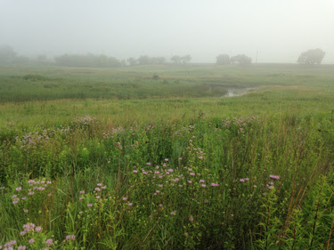 Duff Lake Fen by Fred Wooley