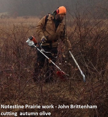 notestine-prairie-work