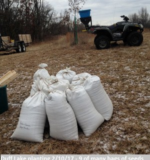 Duff Lake planting