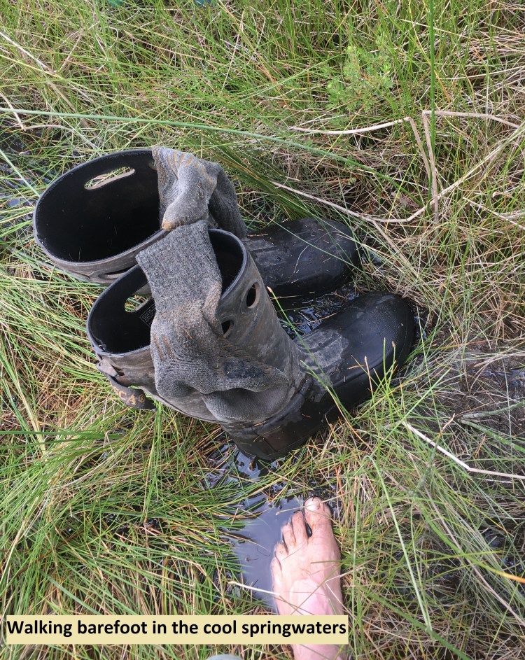 walking barefoot in cool springwaters