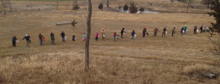 BHM December Prairie Planting 12_7_2019 Brennan Woods _ 24 in a line! by Fred Wooley