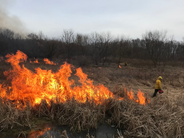 Josh stringing fire in an early January 2020 prescribed fire